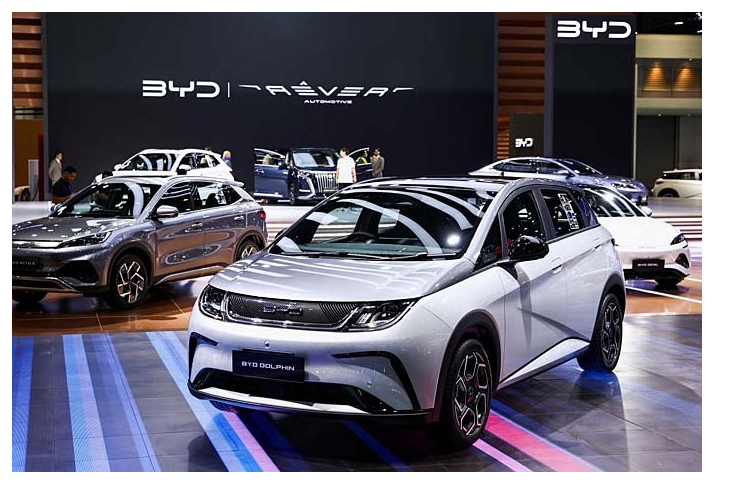 BYD 돌핀