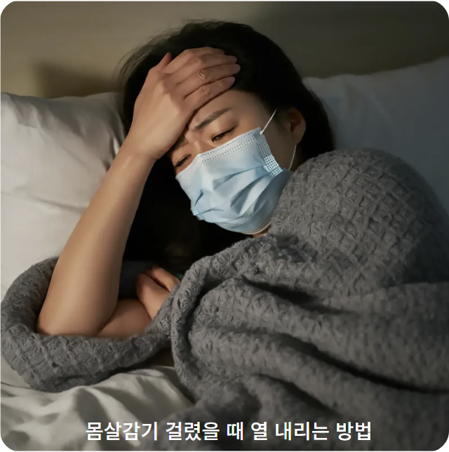 몸살감기 열내리는 방법