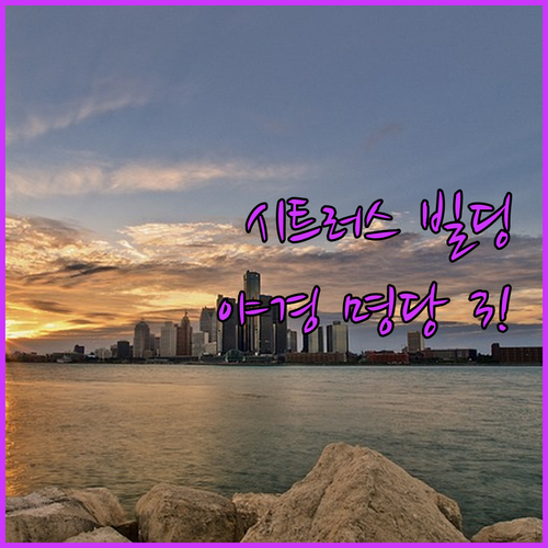 디트로이트 아메리칸 시트러스 빌딩 야..
