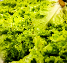 천식에 좋은 음식 영양제 식단