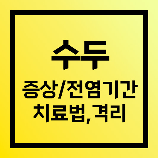 수두 증상