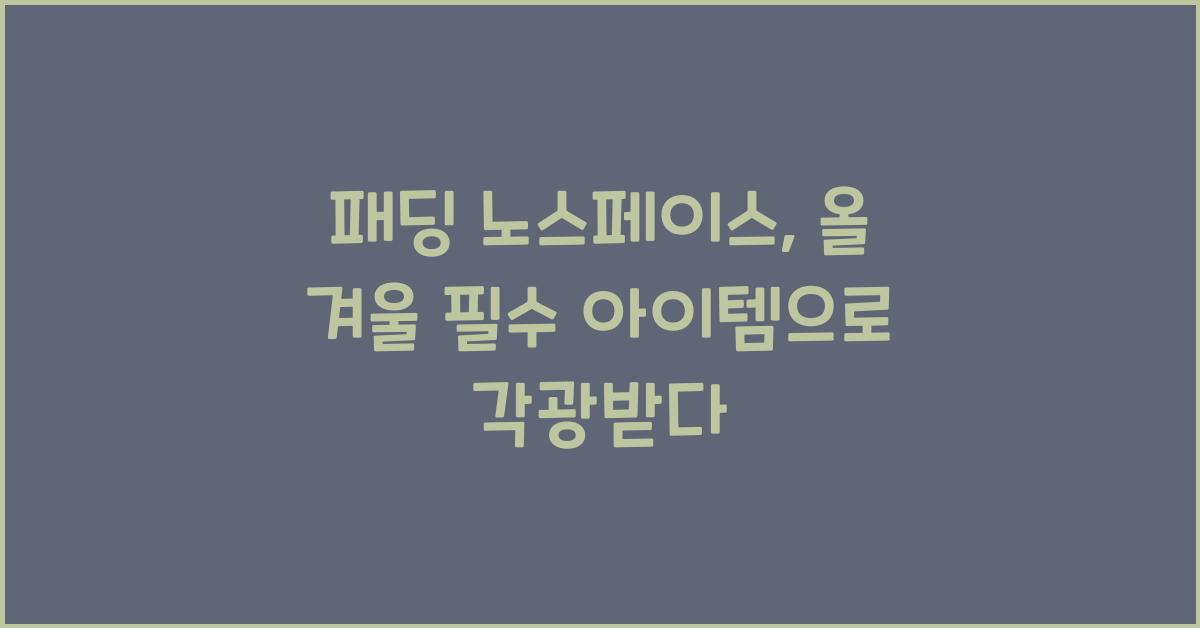 패딩 노스페이스