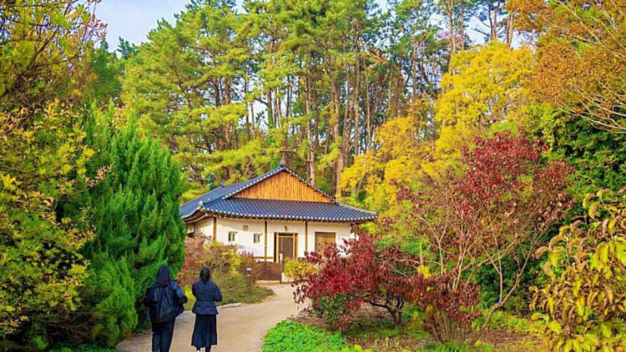 충남 가을 여행지 추천