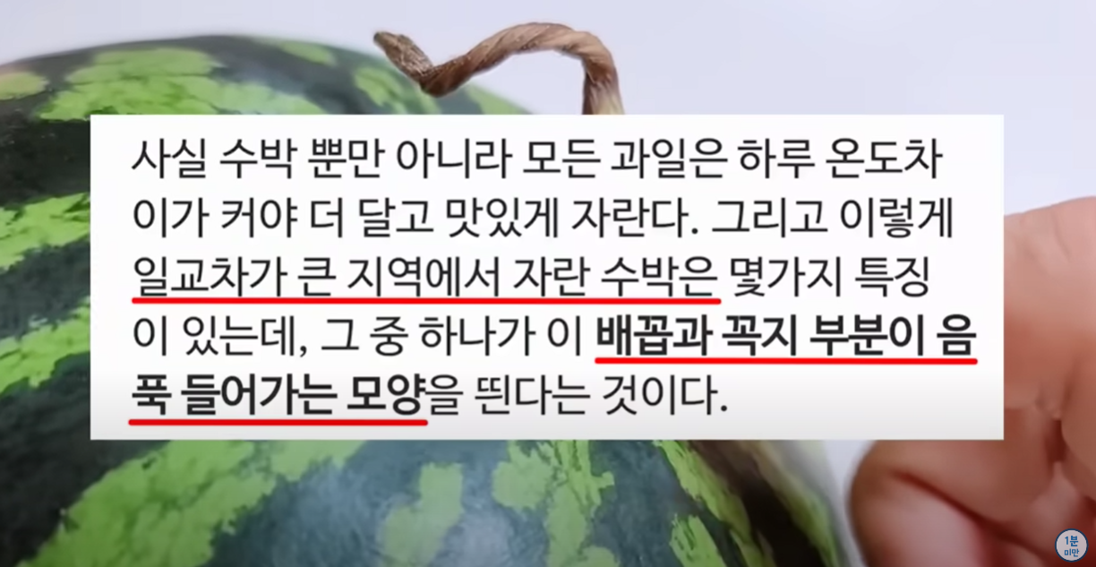 일교차가 큰 지역의 수박