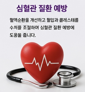 실내자전거 운동 효과