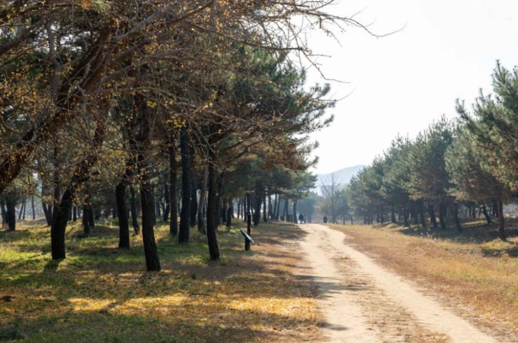 공주 가볼만한곳 베스트10