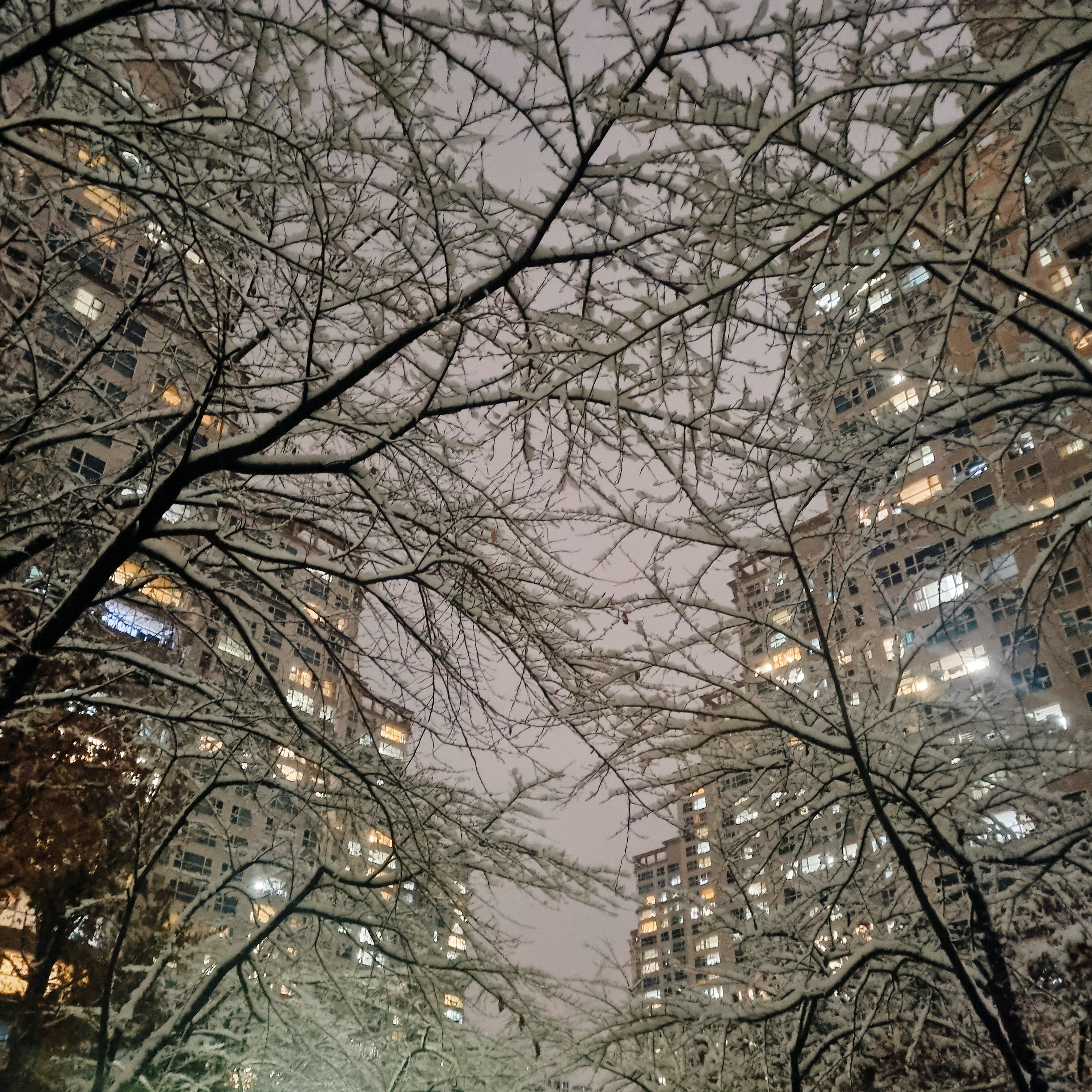 폭설이 내린 아파트 풍경