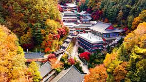 충청도 가을 단풍 명소