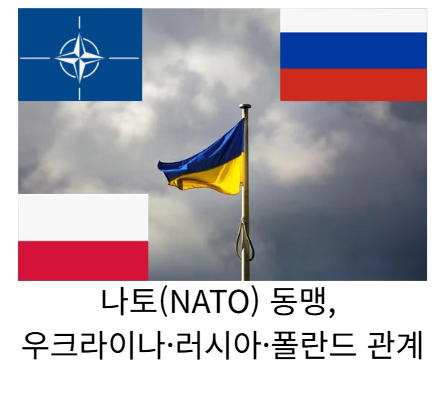 나토동맹관계