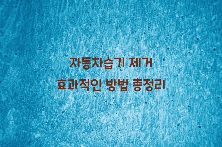 자동차습기