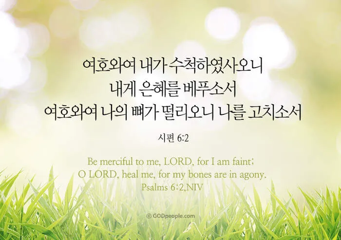 시편 61장 2절 읽기 - 내 마음이 약해질 때에 내가 땅 끝에서부터 주께 부르짖으리니_2