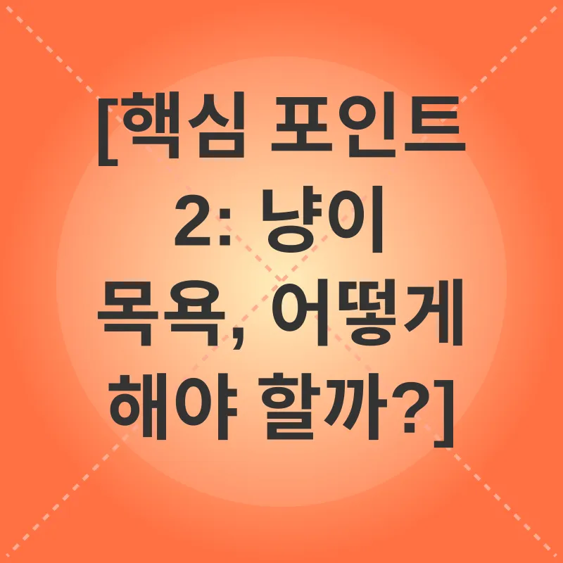 새끼 고양이 목욕_2