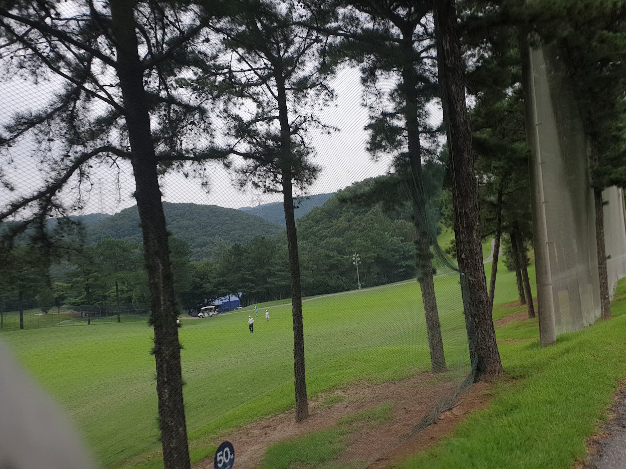 강원지역 노캐디 골프장