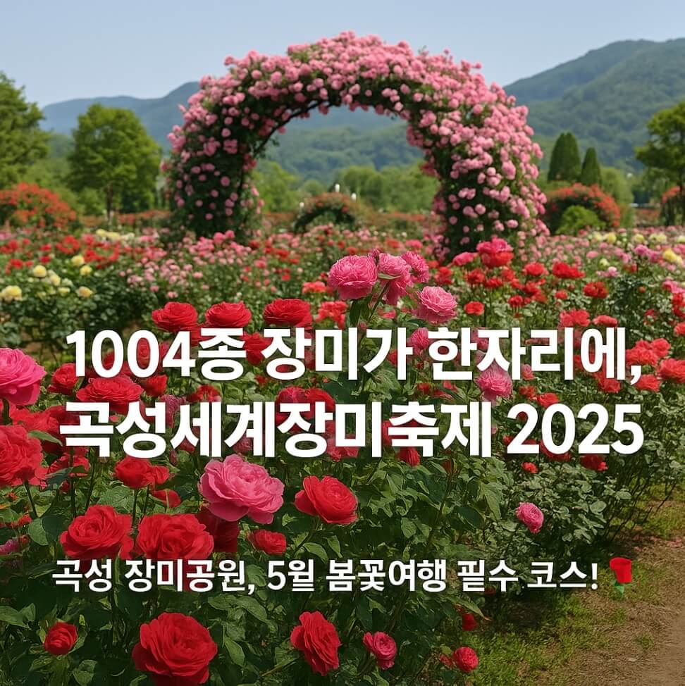 곡성세계장미축제 2025
