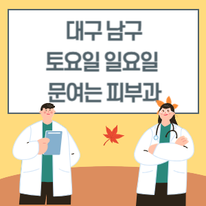 대구 남구 토요일 일요일 피부과 진료 문여는 병원 리스트