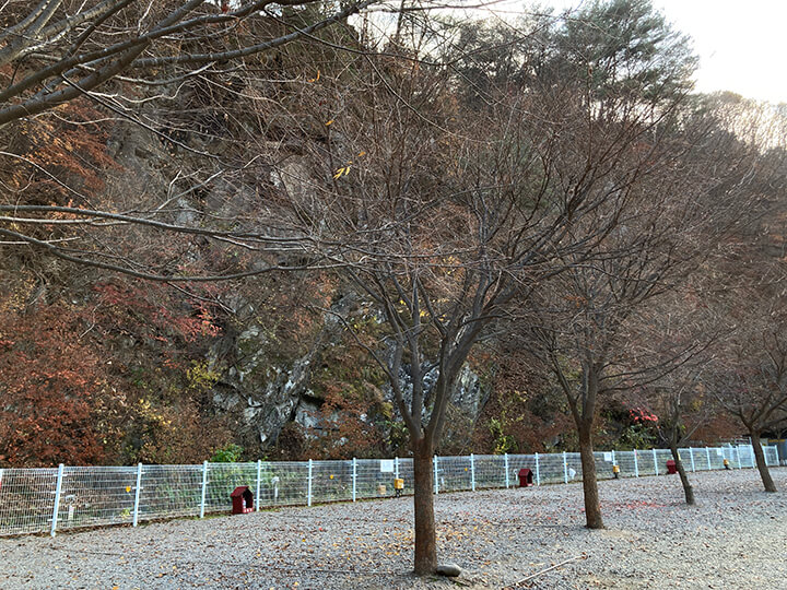 암벽을-배경으로-하고있는-파쇄석바닥의-암벽존