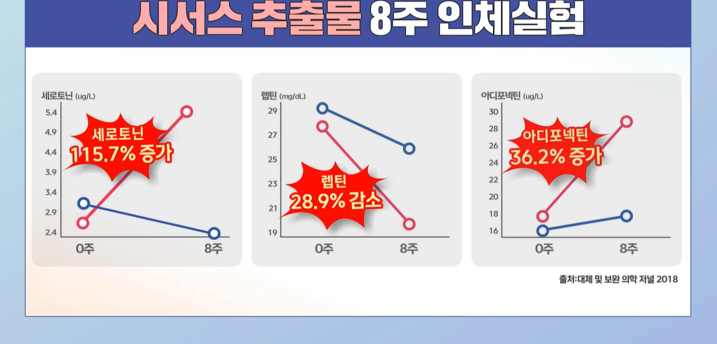시서스 효능