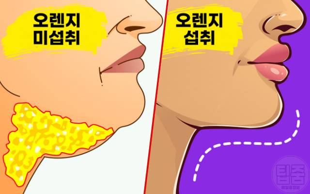 오렌지 매일 먹으면 오렌지효능 다이어트