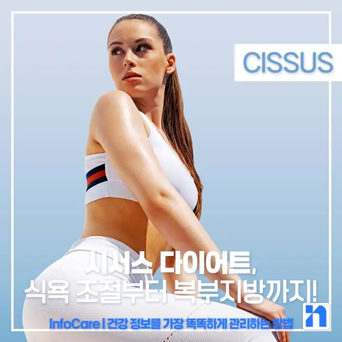 시서스 다이어트, 복용방법