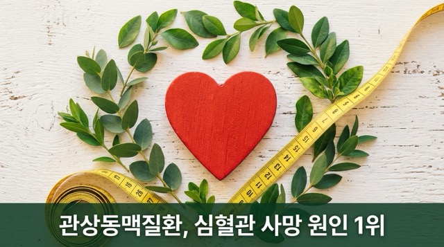 상동맥질환 원인 혈관 동맥경화"