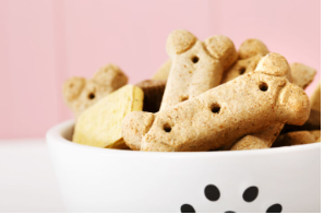 개가 쿠키를 먹어도 괜찮은가