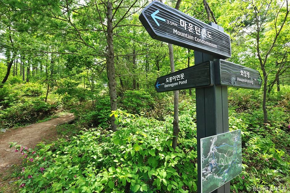 정선 도롱이연못 둘레길