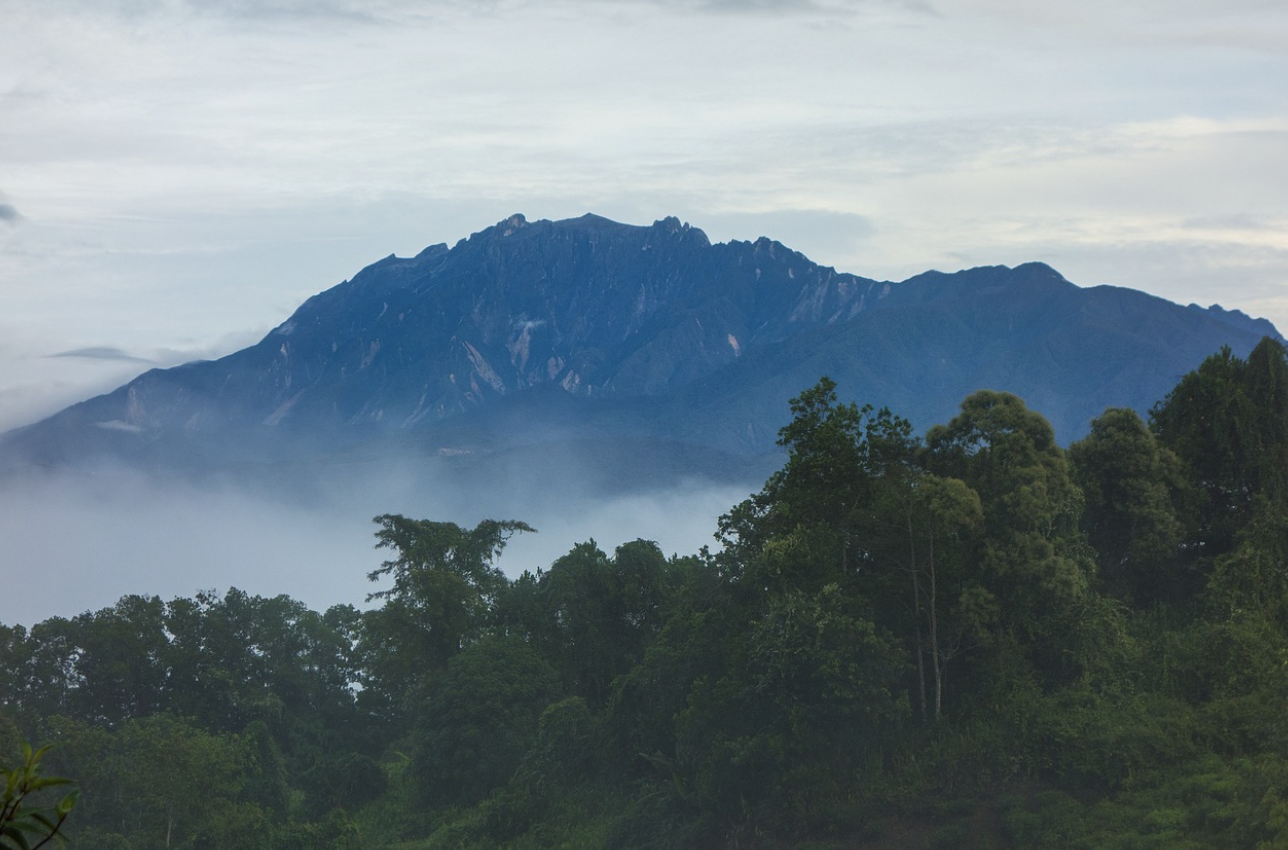 키나발루 국립공원