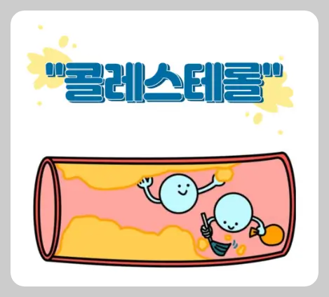 콜레스테롤