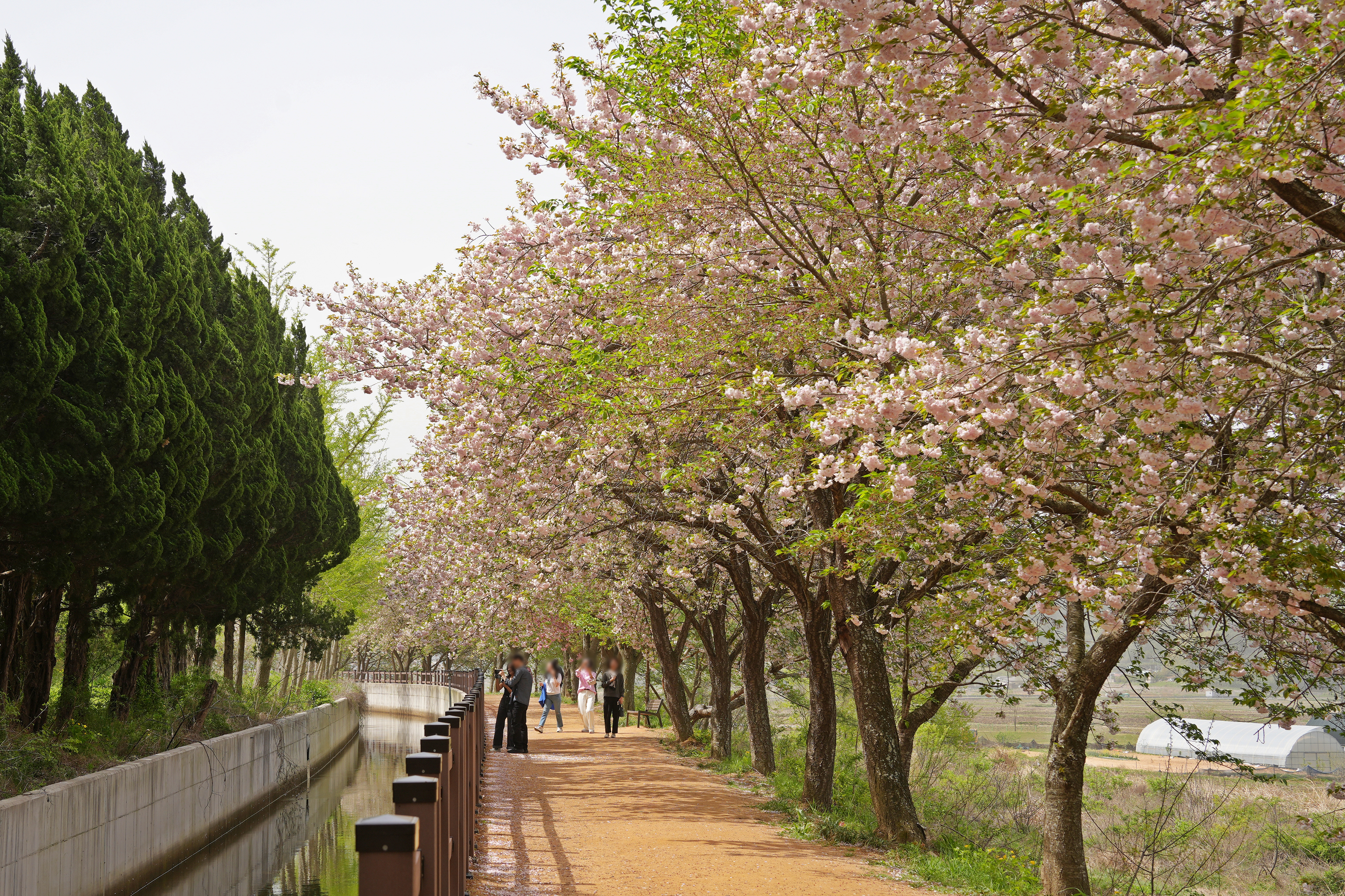 선덕여왕길 관련사진 6