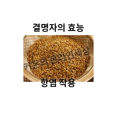 결명자의 효능