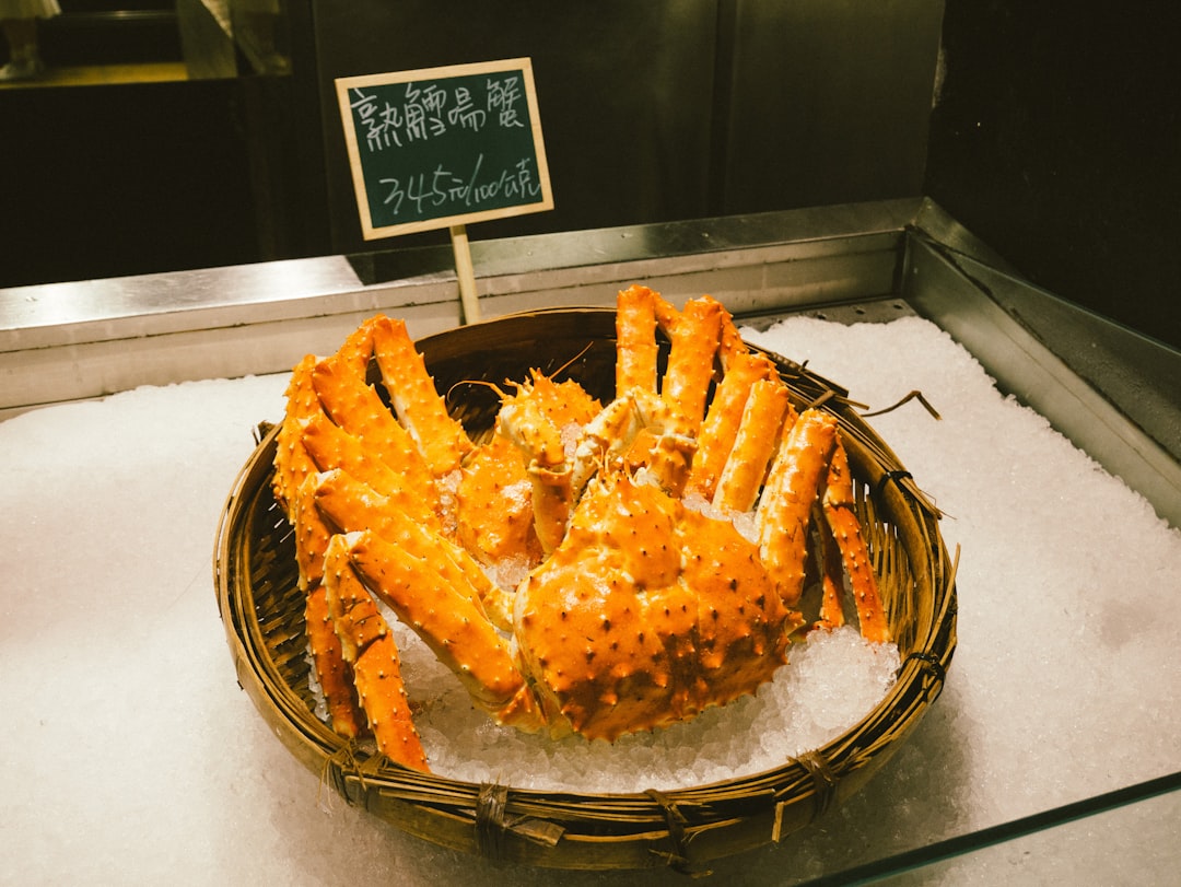 stir-fried octopus