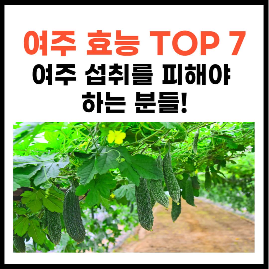 여주 효능 TOP 7
