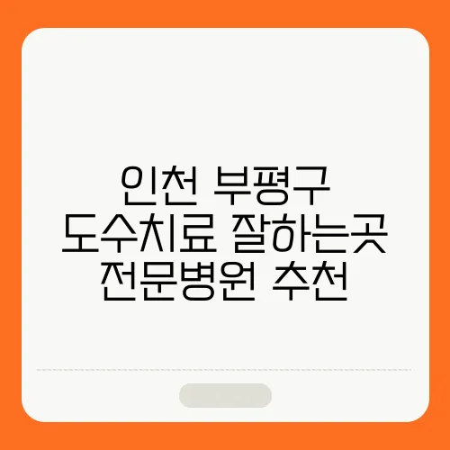 인천 부평구 도수치료 잘하는곳 전문병원 추천