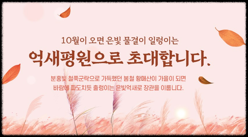 황매산 억새축제&amp;#44; 놓치면 후회할 필수 정보!