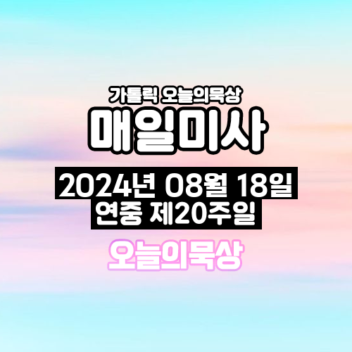2024년 8월 18일 매일미사 연중 제20주일 오늘의 묵상