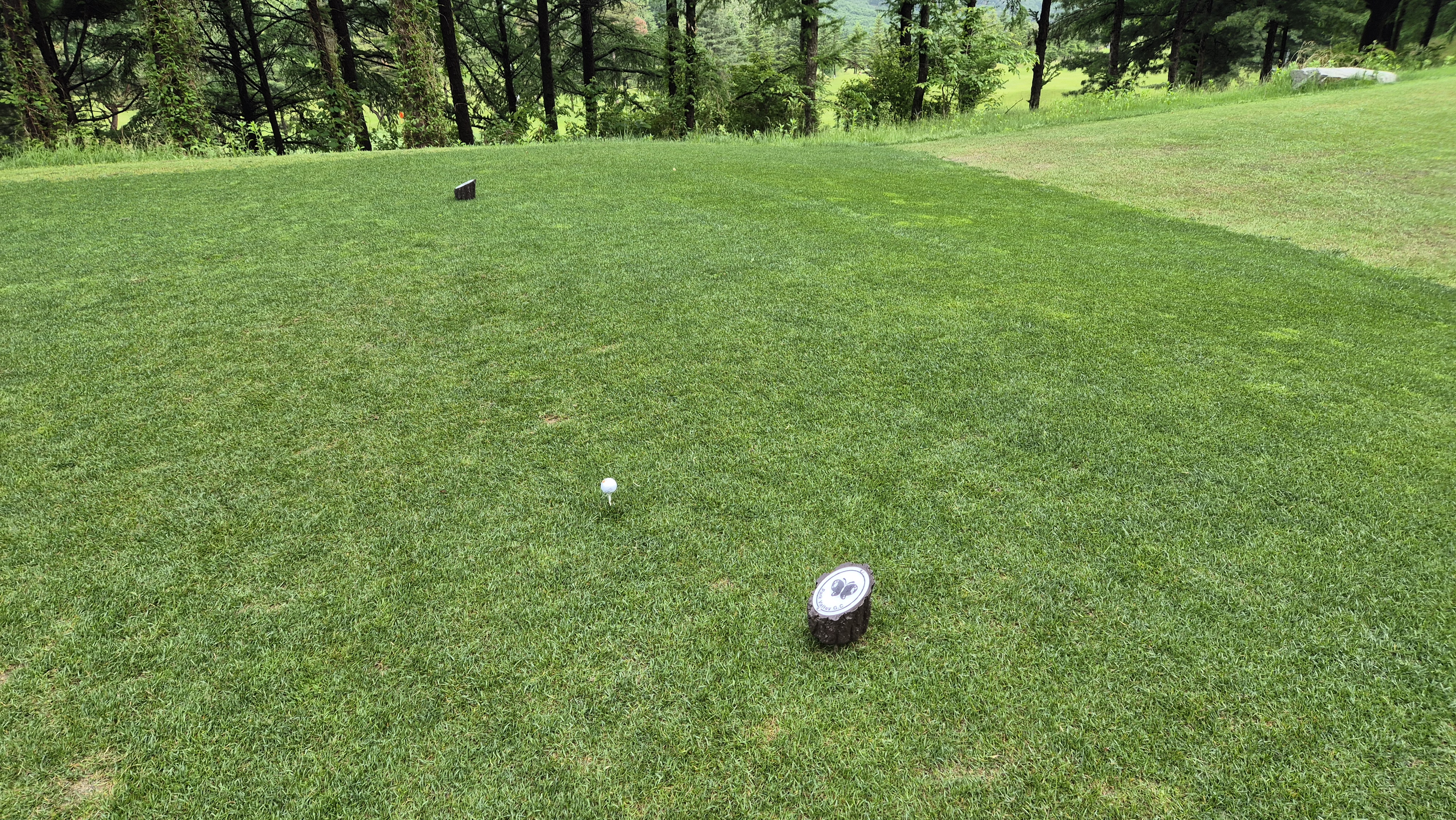 파크밸리gc 라운드 후기