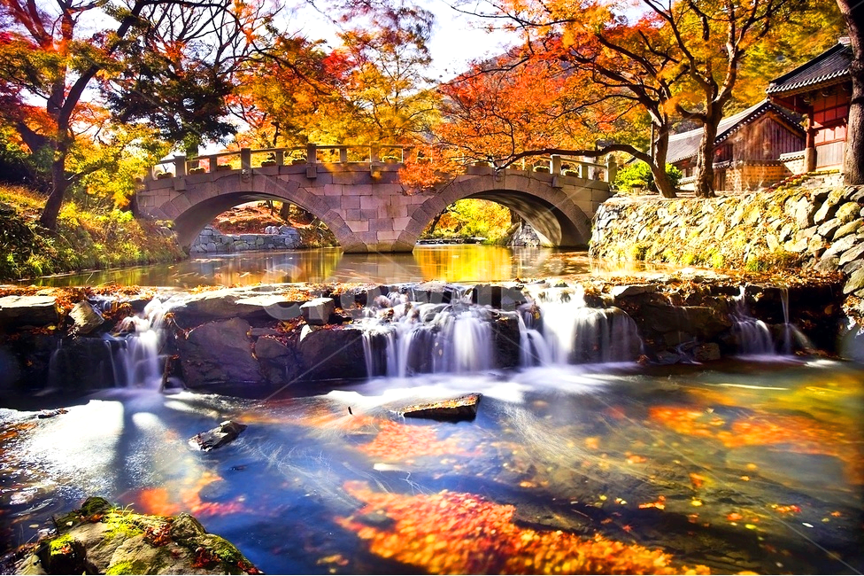 선운사
