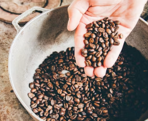 토프레소 창업에 대하여 알아보기