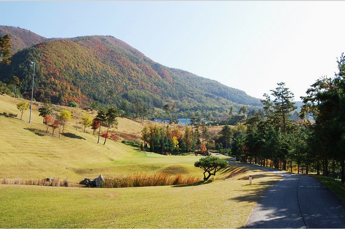 강원도 골프장 블랙밸리CC 소개