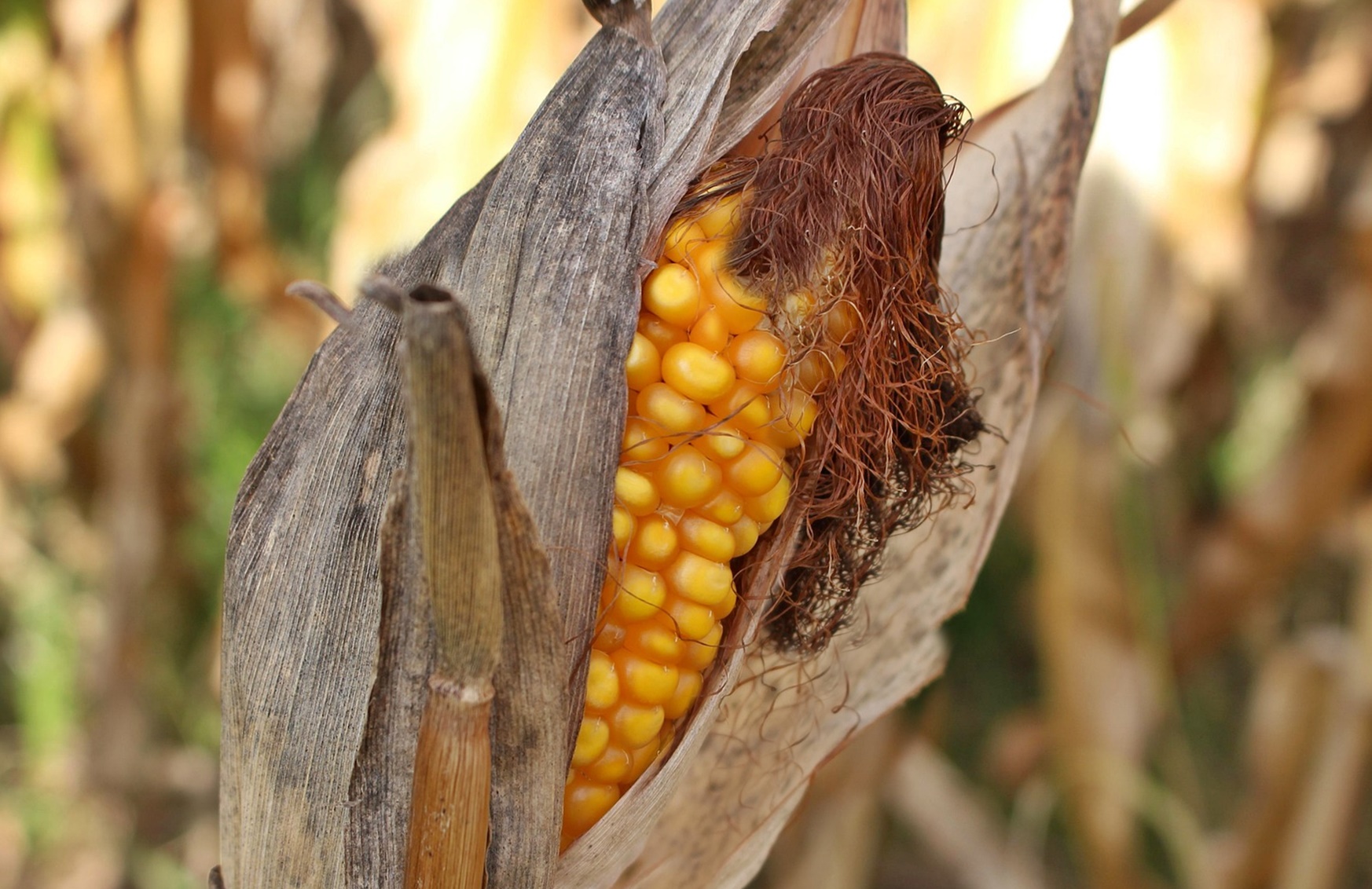 기후위기는 부동산 가격을 결정하는 기준이 바뀌고 있다
