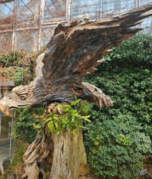 우리꽃식물원 6일간 무료 개방