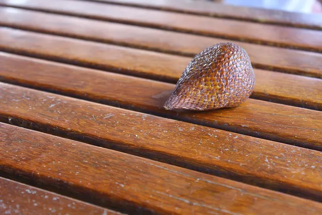 허리둘레 82cm 몇인치일까에 대해_3