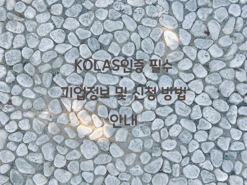 KOLAS인증