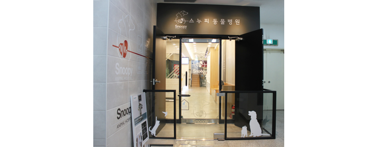 군포시 동물병원