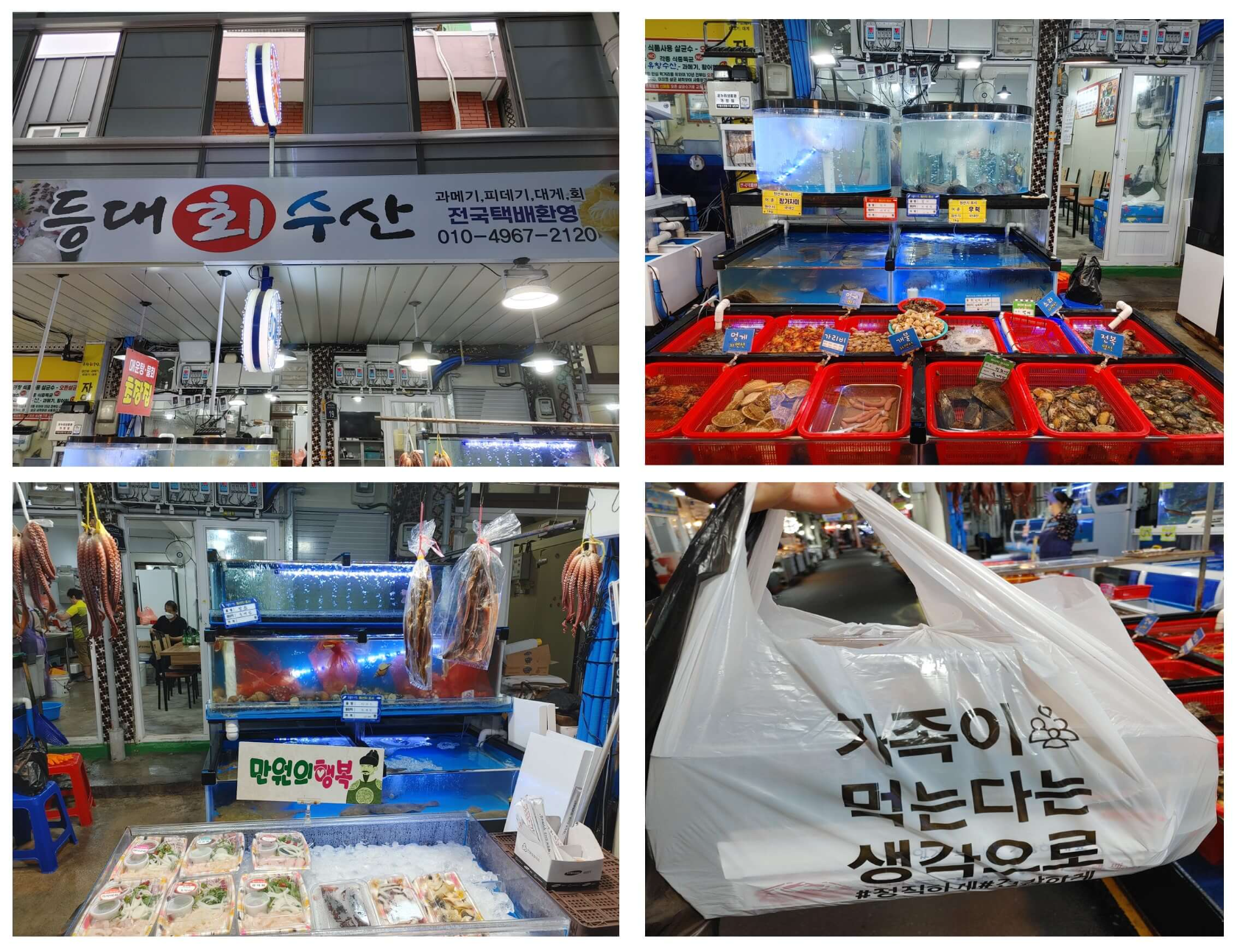 구룡포-시장-등대-회-수산