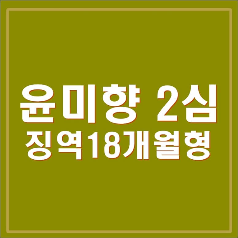 윤미향 상고