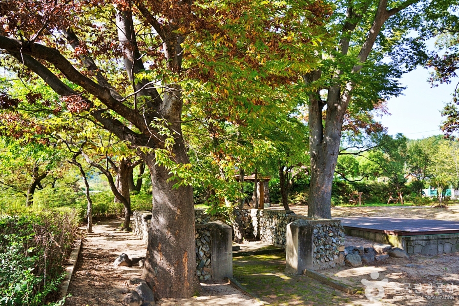 울진 가볼만한곳 베스트10