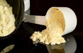 단백질과 프로틴 효능