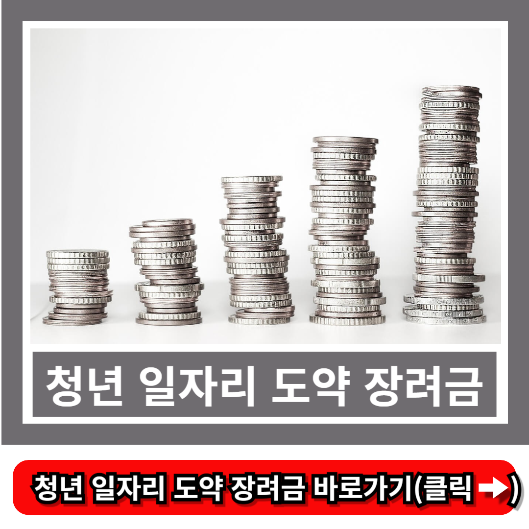 청년 일자리 도약 장려금