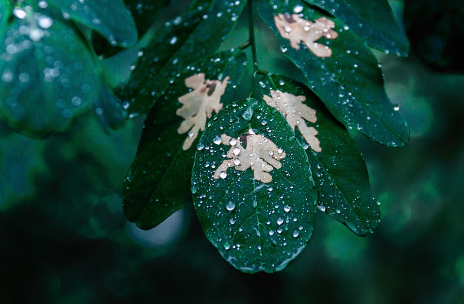 비 오는 날 최신 감성 영화 관련 사진
